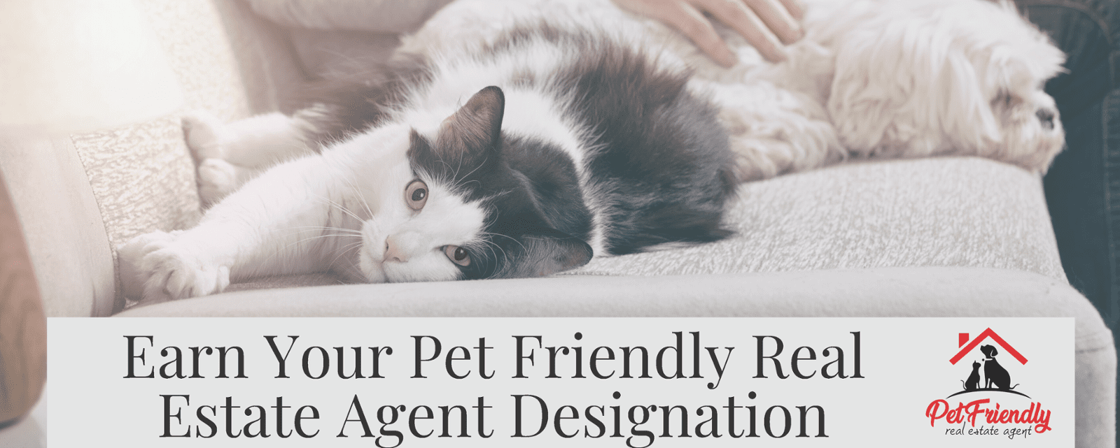 Pet Friendly AnnieMac Worx